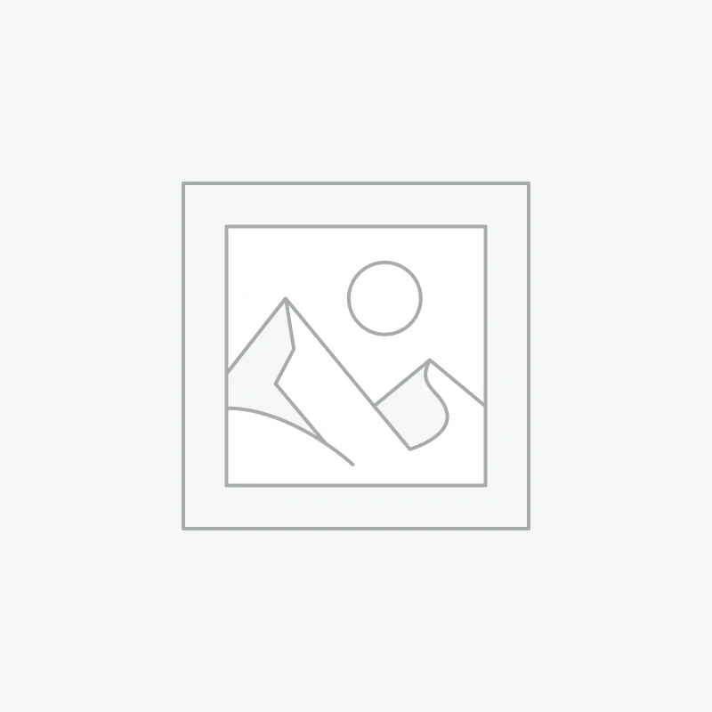 Audit Support (Sales Tax, Payroll Tax, IRS Correspondence)